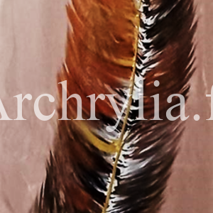 Légèreté Peinture acrylique résinée représentant une plume stylisée avec des couleurs éblouissantes sur bois