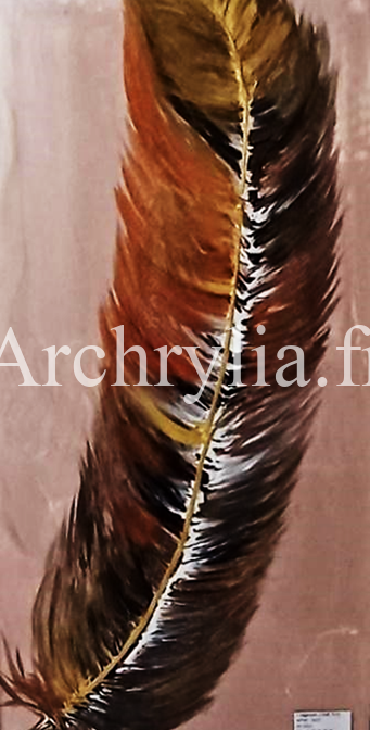 Peinture acrylique résinée représentant une plume stylisée avec des couleurs éblouissantes sur bois